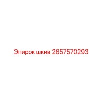 2657570293 ШКИВ Epiroc