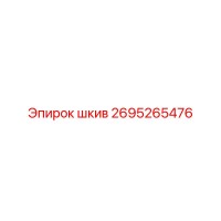 2695265476 шкив Эпирок
