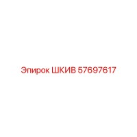 57697617 ШКИВ Epiroc