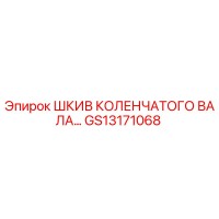GS13171068 Шкив коленчатого вала Epiroc