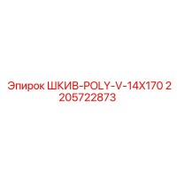 2205722873 ШКИВ-POLY-V-14X170 Epiroc