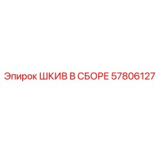 57806127 ШКИВ В СБОРЕ Epiroc