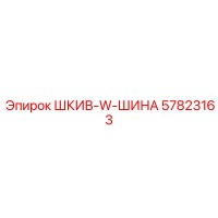57823163 ШКИВ-W-ШИНА Epiroc