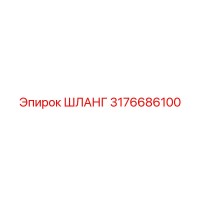 3176686100 ШЛАНГ Epiroc