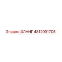 4812031705 ШЛАНГ Epiroc