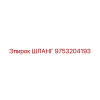 9753204193 ШЛАНГ Epiroc