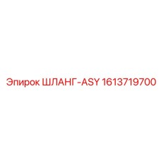 1613719700 ШЛАНГ-ASY Epiroc