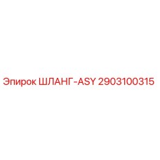 2903100315 ШЛАНГ-ASY Epiroc