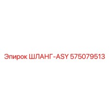 575079513 - ШЛАНГ-ASY - Epiroc
