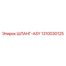 1310030125 ШЛАНГ-ASY Epiroc