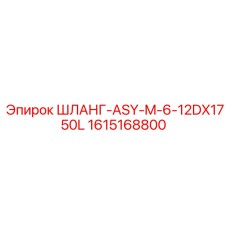 1615168800 ШЛАНГ-ASY-M-6-12DX1750L Epiroc