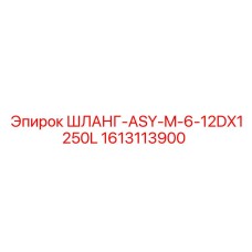1613113900 ШЛАНГ-ASY-M-6-12DX1250L Epiroc