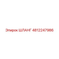 4812247986 ШЛАНГ Epiroc