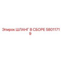 58011719 ШЛАНГ В СБОРЕ Epiroc