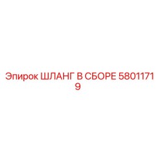 58011719 ШЛАНГ В СБОРЕ Epiroc