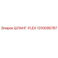 1310095787 ШЛАНГ-FLEX Epiroc