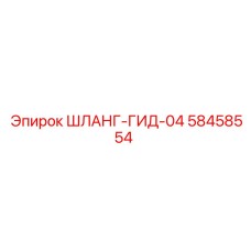 58458554 ШЛАНГ-ГИД-04 Epiroc