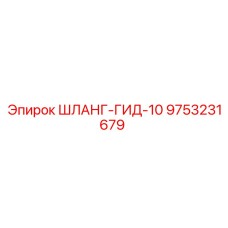 9753231679 ШЛАНГ-ГИД-10 Epiroc