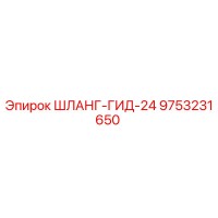 9753231650 ШЛАНГ-ГИД-24 Epiroc