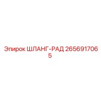 2656917065 ШЛАНГ-РАД Эпирок