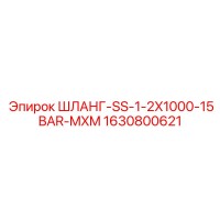 1630800621 ШЛАНГ-SS-1-2X1000-15BAR-MXM Epiroc