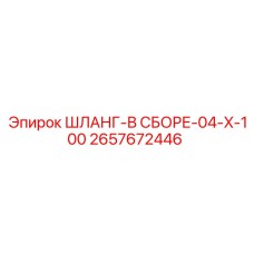2657672446 ШЛАНГ-В СБОРЕ-04-X-100 Epiroc