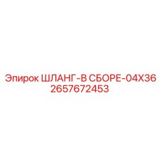 2657672453 ШЛАНГ-В СБОРЕ-04X36 Epiroc