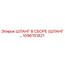 1096151821 ШЛАНГ В СБОРЕ (ШЛАНГ…) Epiroc