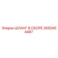 2650454487 ШЛАНГ В СБОРЕ Epiroc