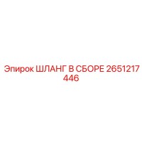 2651217446 ШЛАНГ В СБОРЕ Epiroc