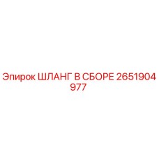 2651904977 ШЛАНГ В СБОРЕ Эпирок