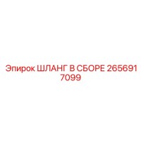 2656917099 ШЛАНГ В СБОРЕ Эпирок