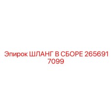 2656917099 ШЛАНГ В СБОРЕ Эпирок
