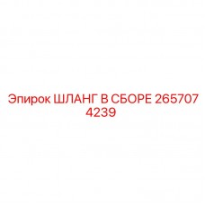 2657074239 ШЛАНГ В СБОРЕ Эпирок