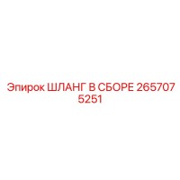 2657075251 ШЛАНГ В СБОРЕ Эпирок