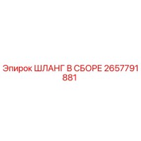 2657791881 ШЛАНГ В СБОРЕ - Epiroc