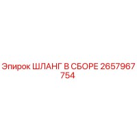 2657967754 ШЛАНГ В СБОРЕ Epiroc