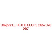 2657978967 ШЛАНГ В СБОРЕ Epiroc