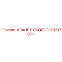 3128317651 ШЛАНГ В СБОРЕ (Epiroc)