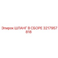 3217957818 ШЛАНГ В СБОРЕ Epiroc