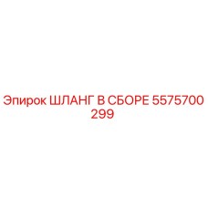 5575700299 ШЛАНГ В СБОРЕ Epiroc
