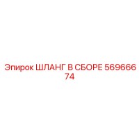 56966674 ШЛАНГ В СБОРЕ Epiroc