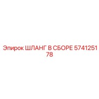 574125178 ШЛАНГ В СБОРЕ Эпирок