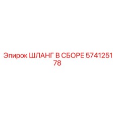 574125178 ШЛАНГ В СБОРЕ Эпирок