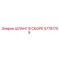 57781759 ШЛАНГ В СБОРЕ Epiroc