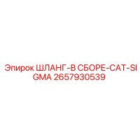 2657930539 ШЛАНГ-В СБОРЕ-CAT-SIGMA Epiroc
