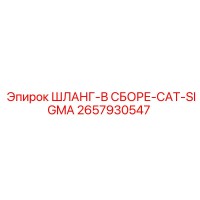 2657930547 ШЛАНГ-В СБОРЕ-CAT-SIGMA Epiroc