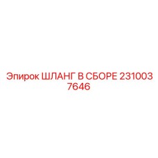 2310037646 ШЛАНГ В СБОРЕ Epiroc