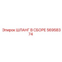 56958374 ШЛАНГ В СБОРЕ Epiroc