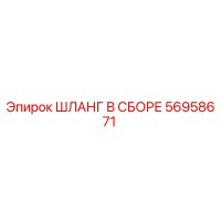 56958671 ШЛАНГ В СБОРЕ Epiroc